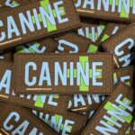 Canine Patch